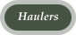 Listing of Licensed Haulers to the Landfill