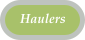 Listing of Licensed Haulers to the Landfill